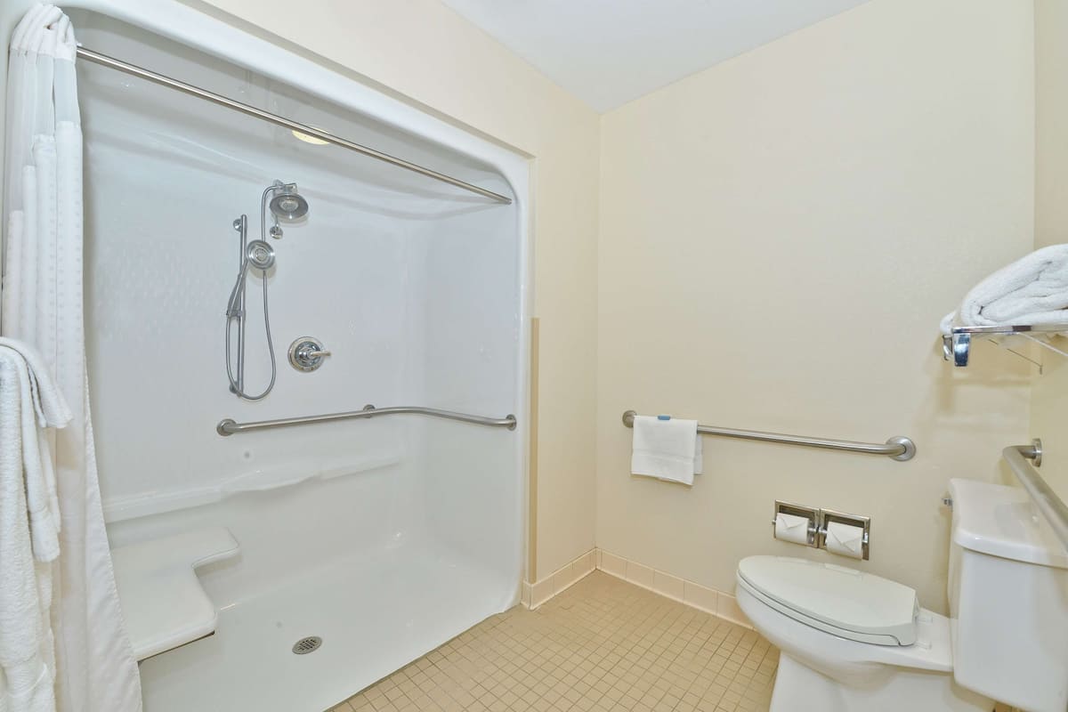 standard room, 1 queen bed, accessible, non smoking | bathroom | combined shower/bathtub, deep-soaking bathtub, free toiletries