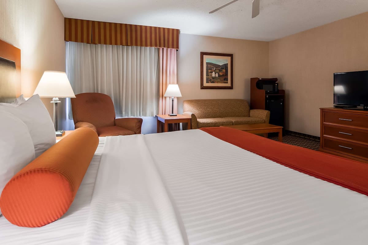 standard room, 1 king bed, non smoking, refrigerator & microwave (larger room;with sofabed) | 1 bedroom, hypo-allergenic bedding, in-room safe, desk