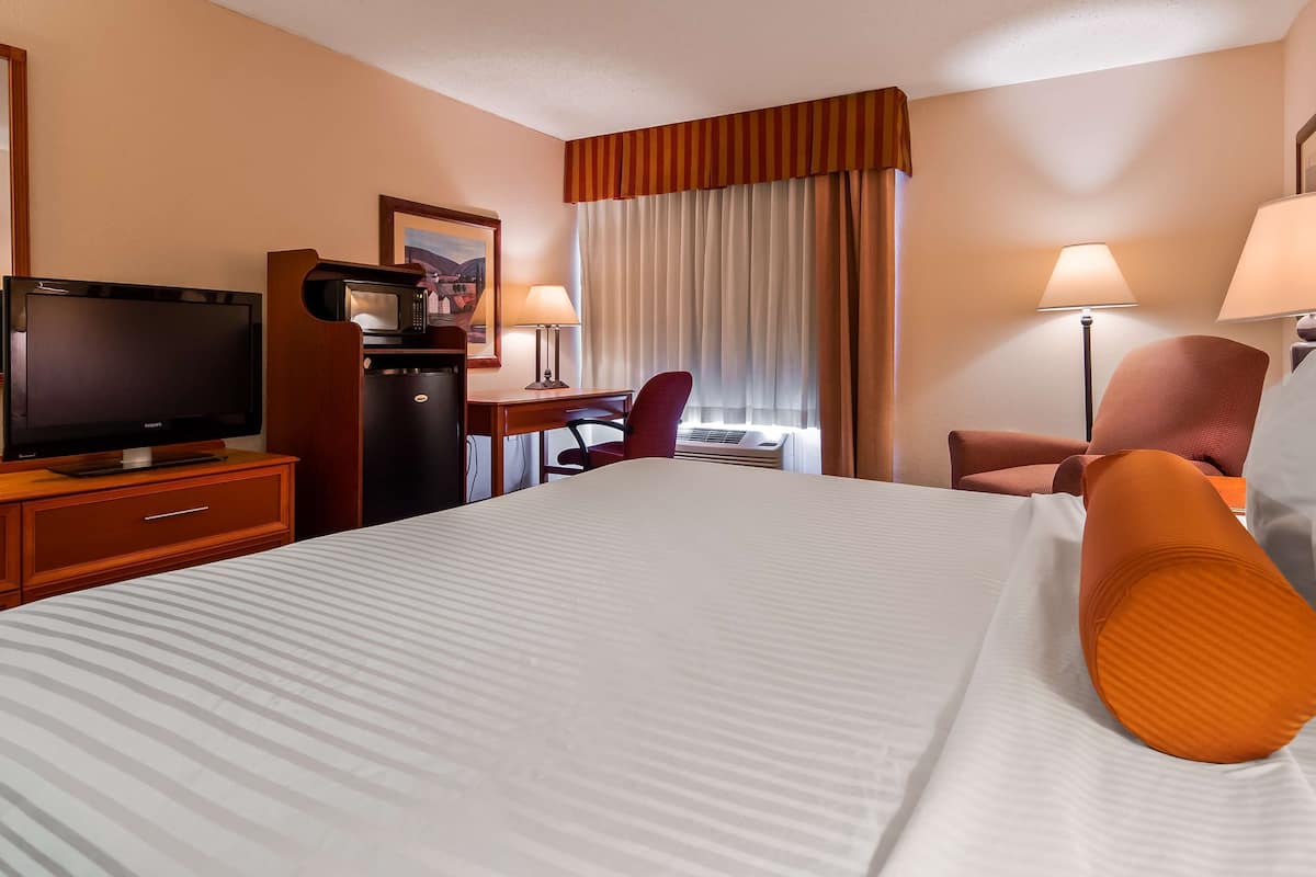 standard room, 1 king bed, non smoking, refrigerator & microwave | 1 bedroom, hypo-allergenic bedding, in-room safe, desk