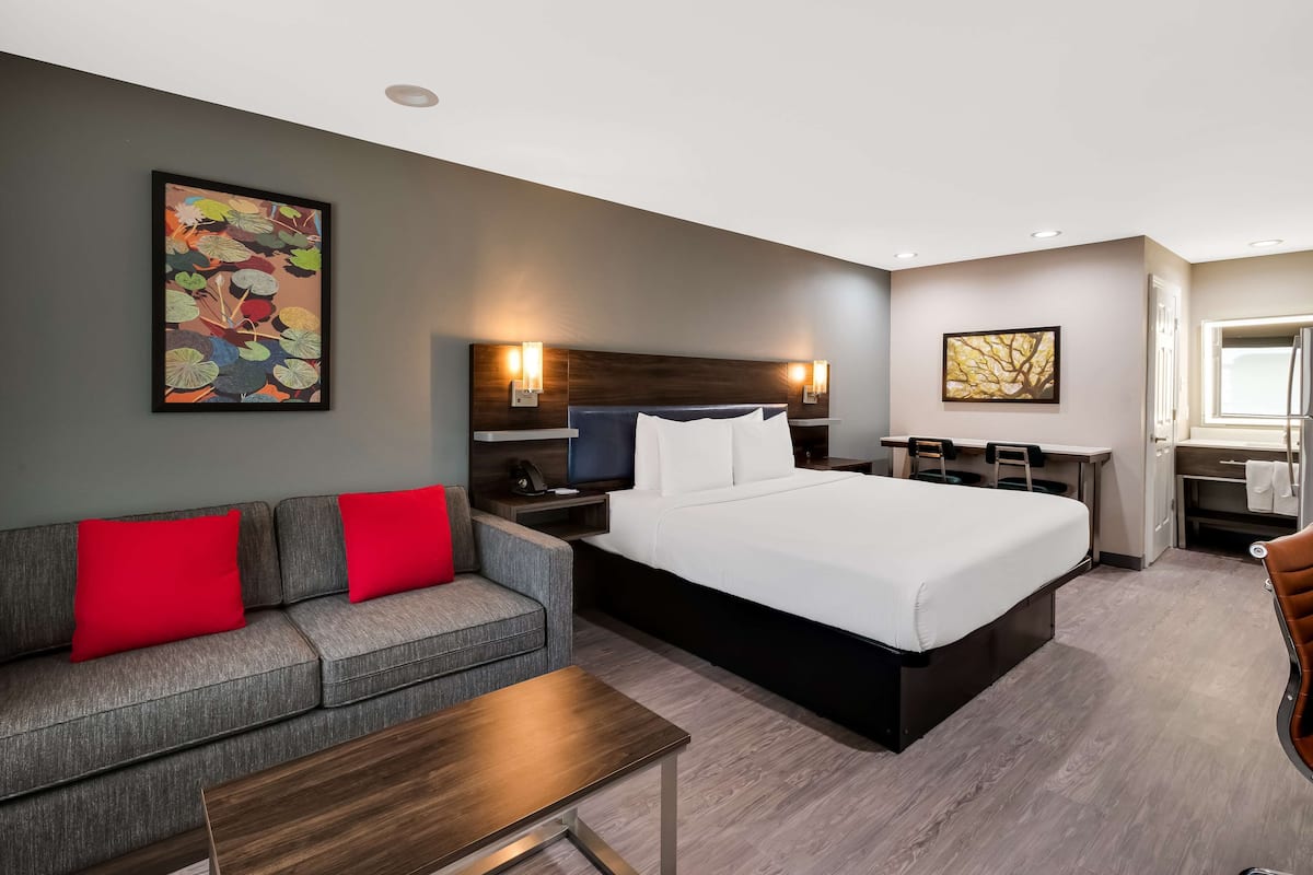 A modern hotel room with a large bed, a grey sofa with red cushions, a wooden coffee table, and artwork on the walls.