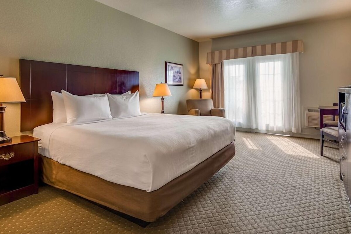 Une chambre d’hôtel avec un grand lit, deux lampes de chevet, une tête de lit, une fenêtre avec des rideaux et un téléviseur.