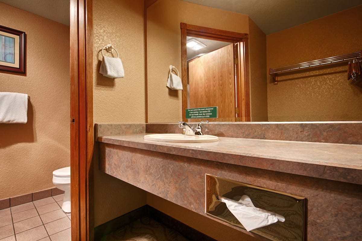 combined shower/bathtub, free toiletries, hair dryer, towels