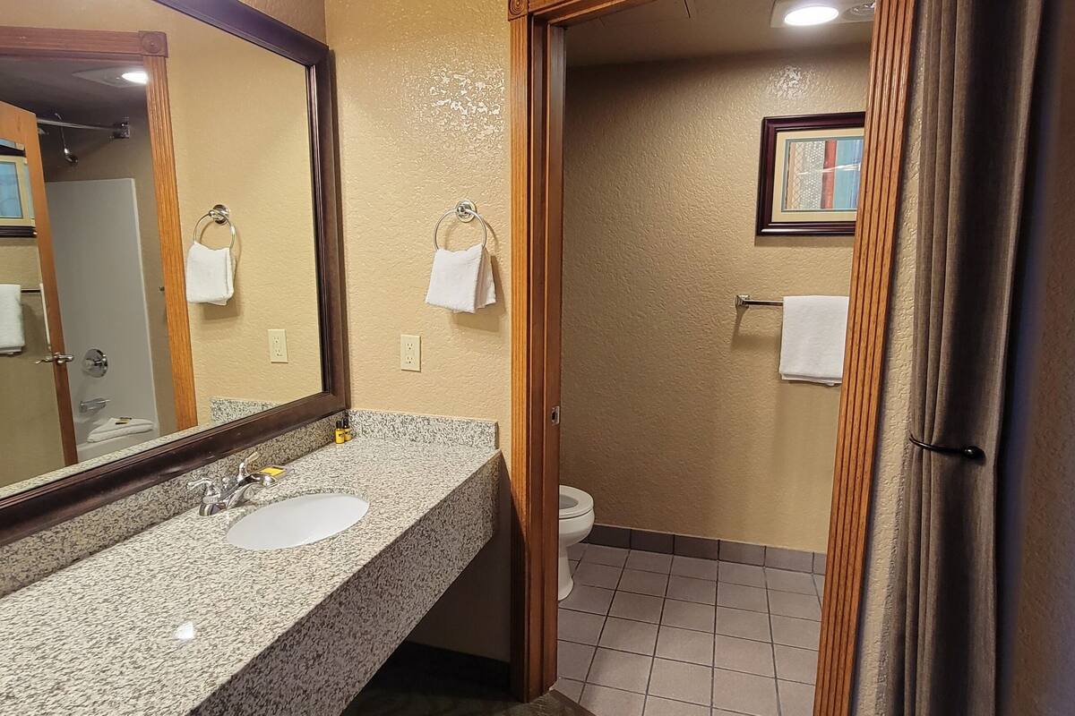 suite, 1 queen bed, non smoking (living room;with sofabed) | bathroom | combined shower/bathtub, free toiletries, hair dryer, towels