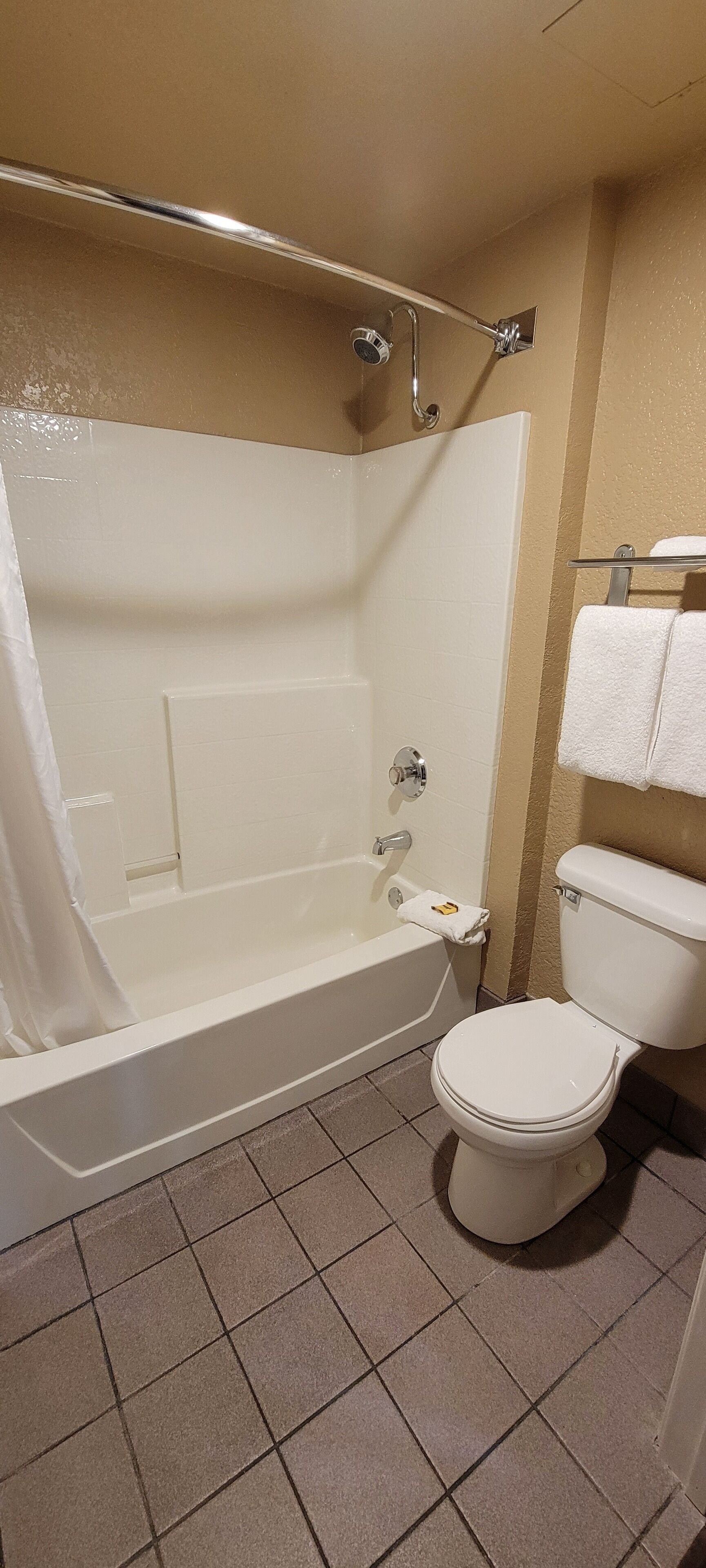Une salle de bain avec une baignoire, des toilettes et un rideau de douche.