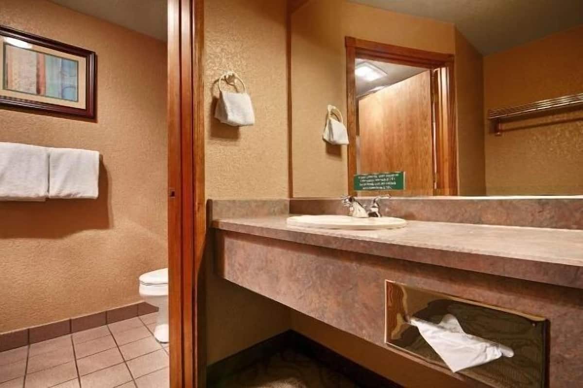 Combined shower/bathtub, free toiletries, hair dryer, towels