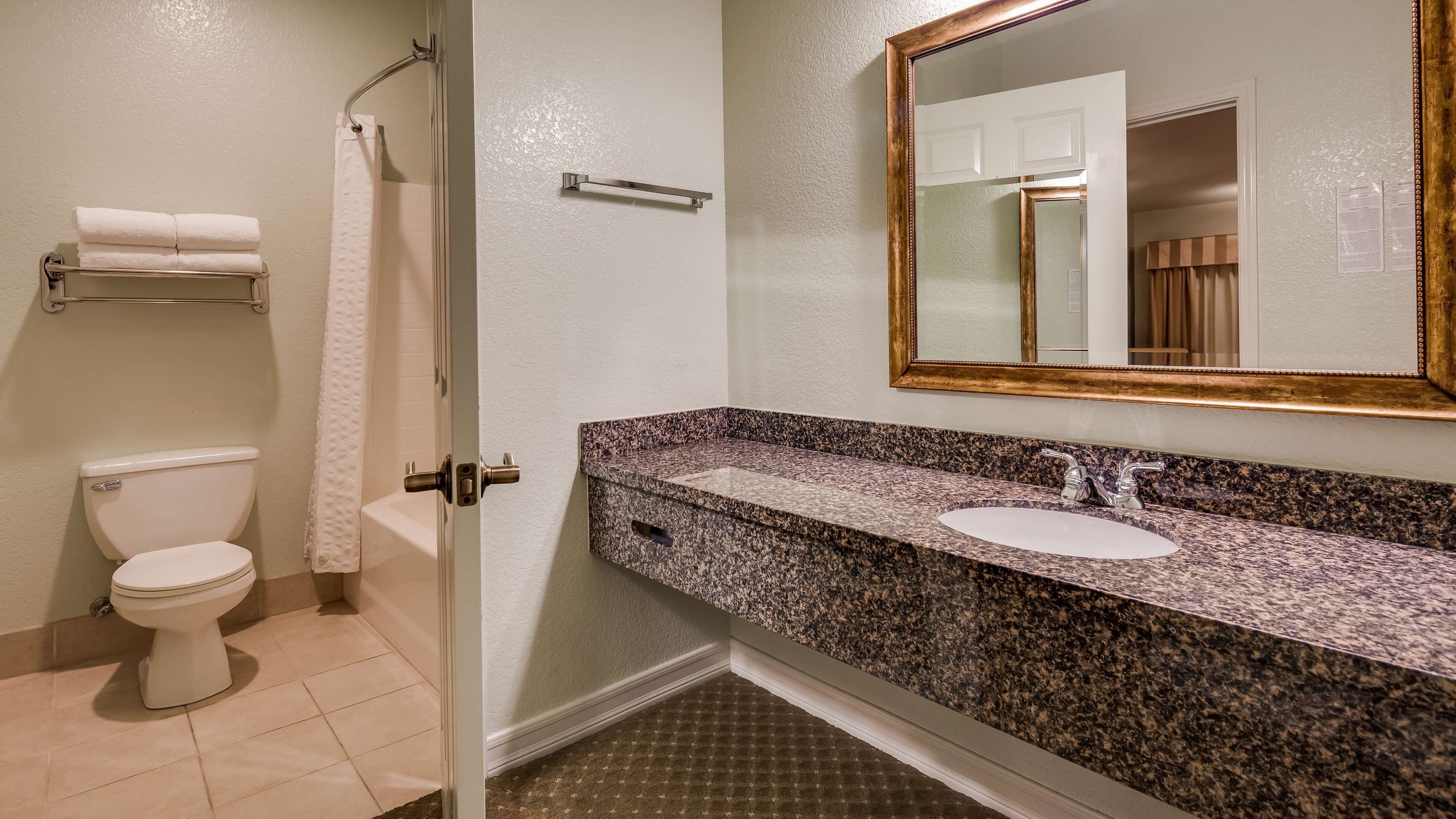 A bathroom with a toilet, a sink, and a shower.