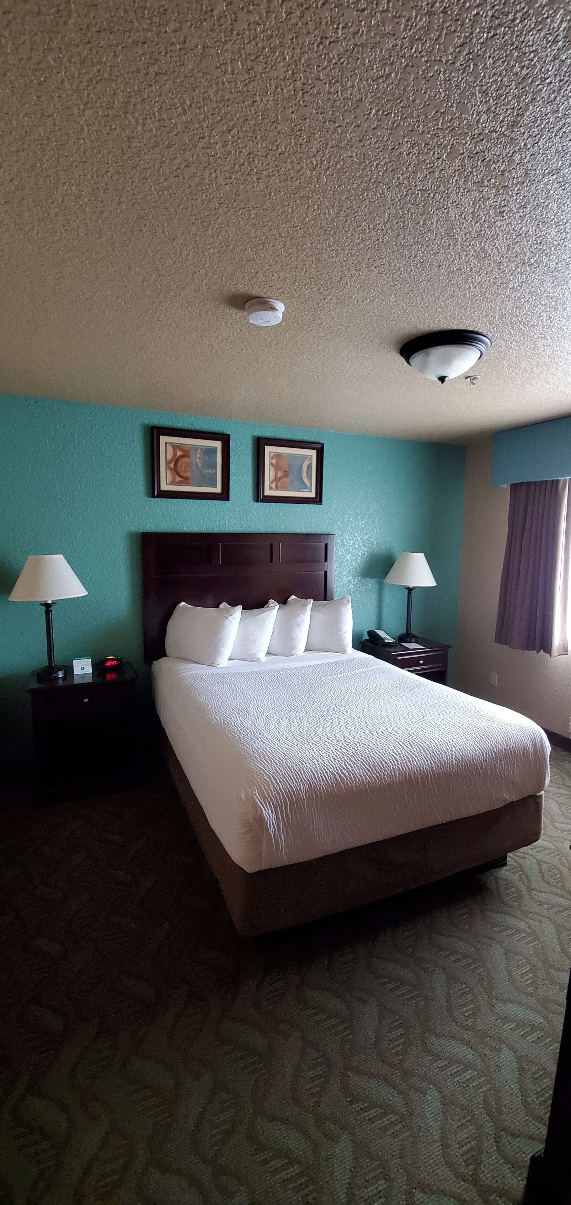 Habitación de hotel con una cama grande, dos mesitas de noche, un cabecero y dos lámparas fijadas a la pared.