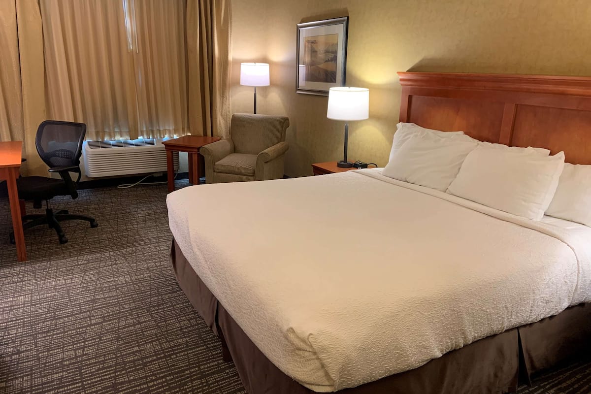 Chambre Standard, 1 très grand lit, non-fumeur, réfrigérateur et four à micro-ondes | Coffre-fort, bureau, espace de travail pour ordinateurs portables