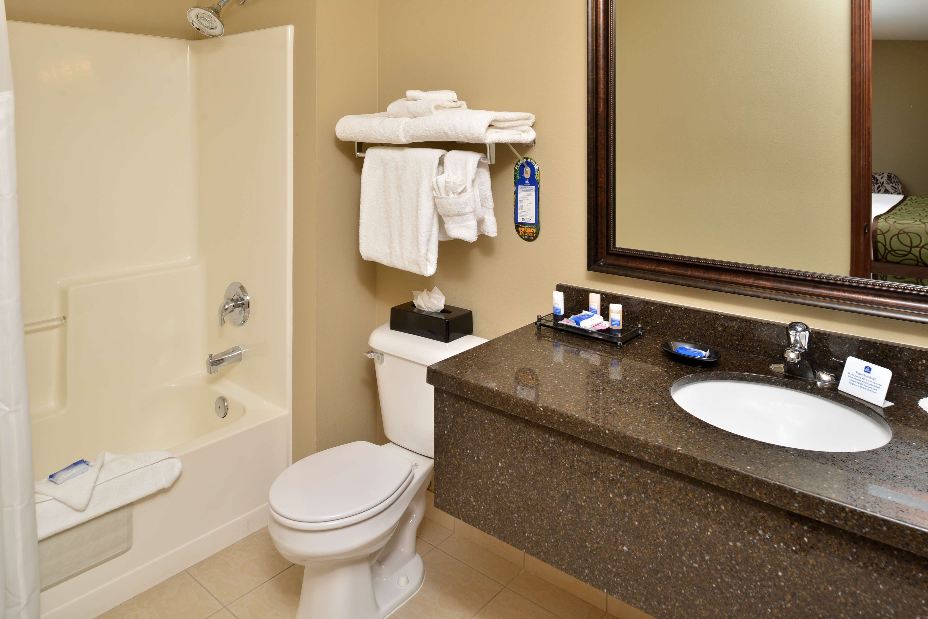suite, 1 king bed, non smoking, jetted tub | bathroom | free toiletries, hair dryer, towels, soap