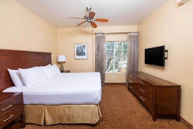 Caixa forta a l'habitació, planxa i posts de planxar i wifi gratuïta 