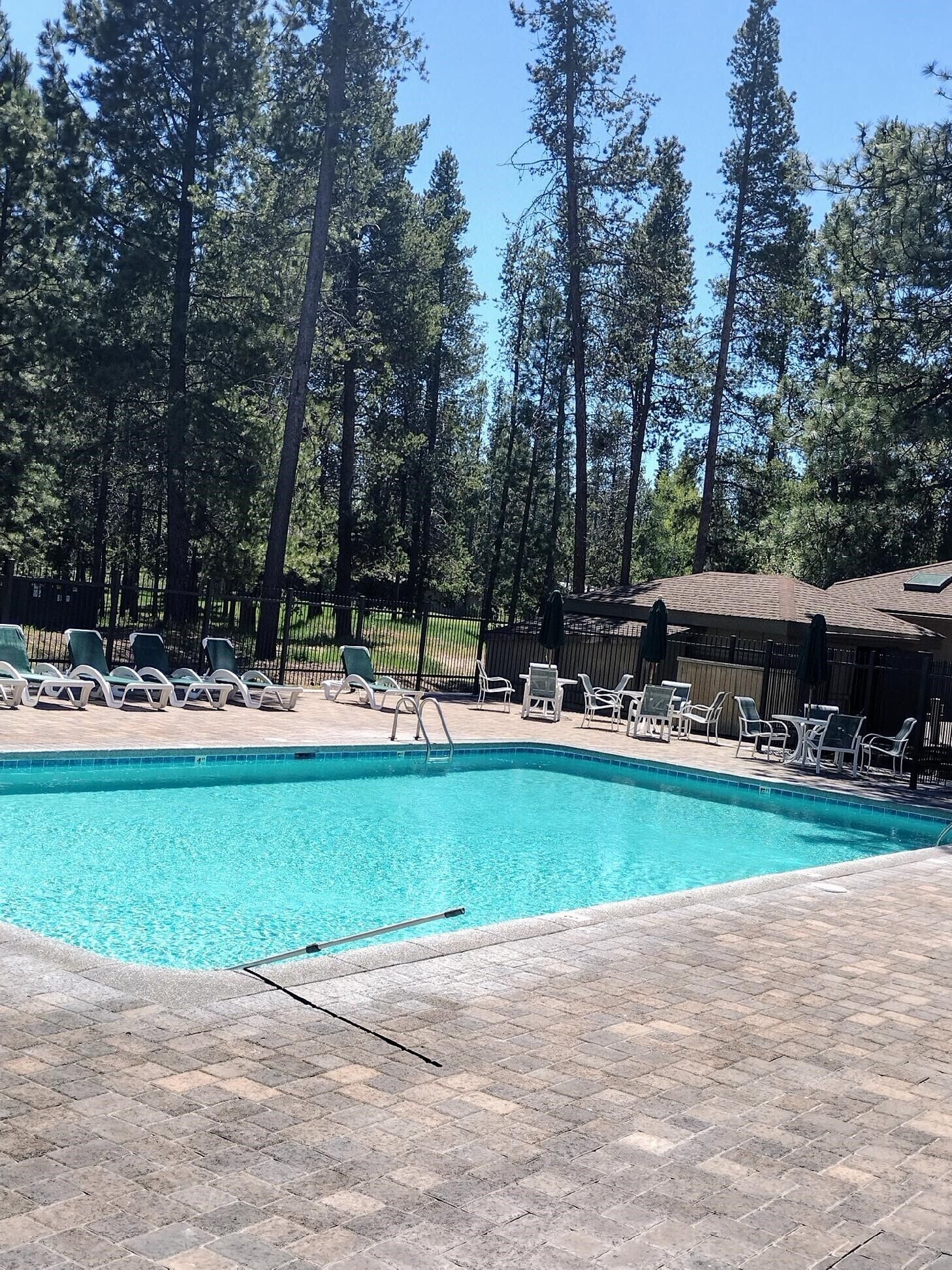 A swimming pool with lounge chairs and a covered seating area, surrounded by tall trees.