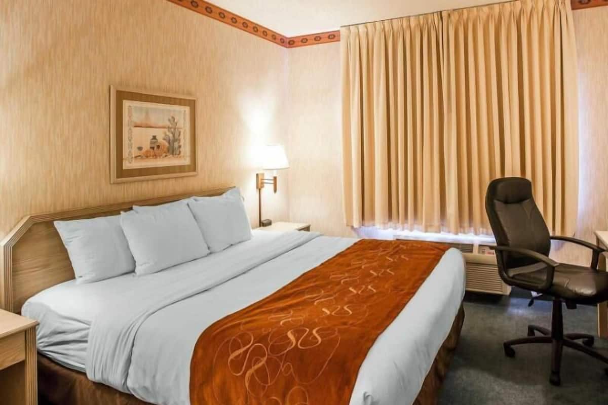 A hotel room with a bed, a desk, a chair, a lamp, and a window with curtains.