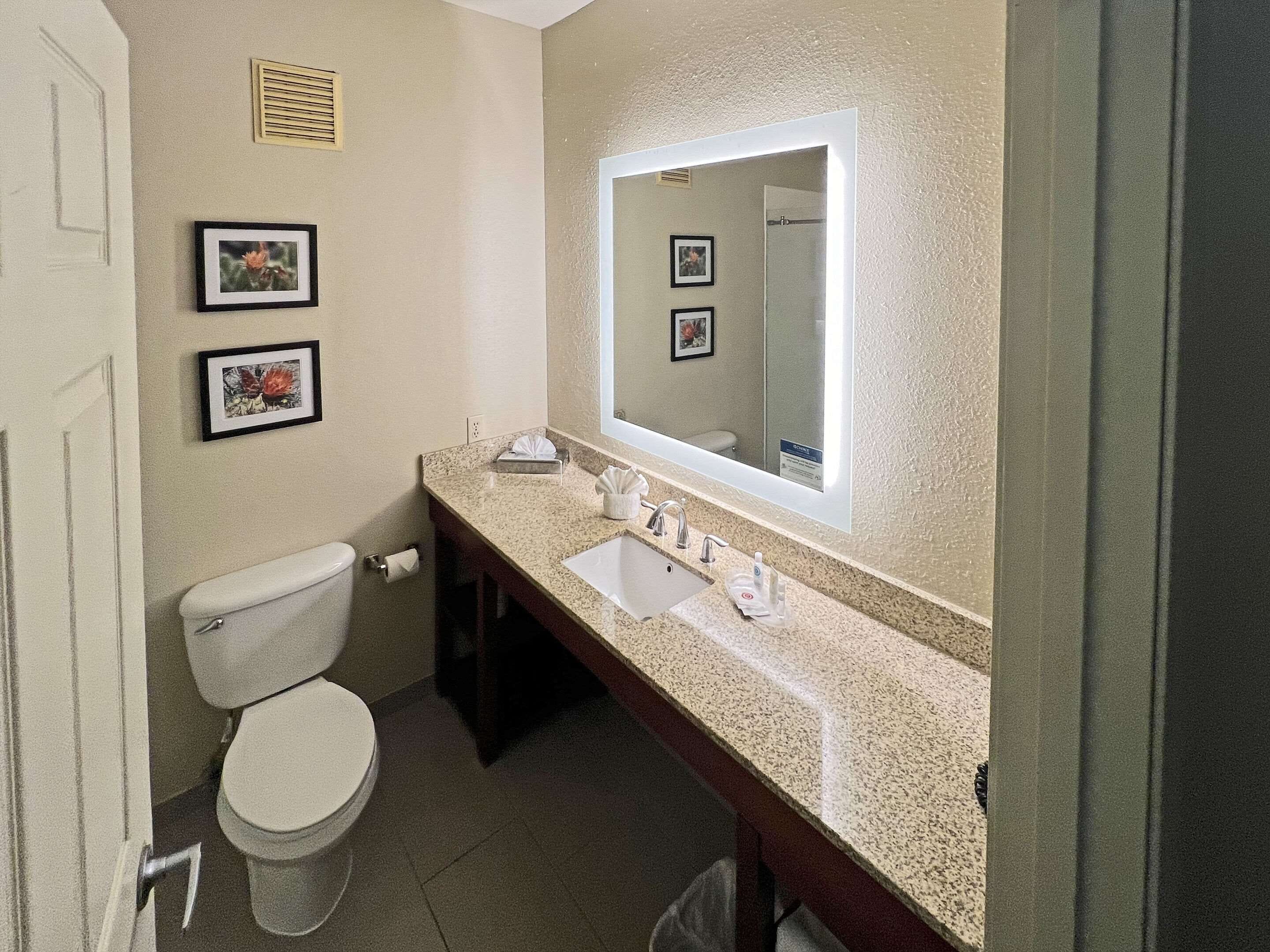 suite, 1 queen bed with sofa bed, non smoking | premium bedding, pillow-top beds, in-room safe, desk