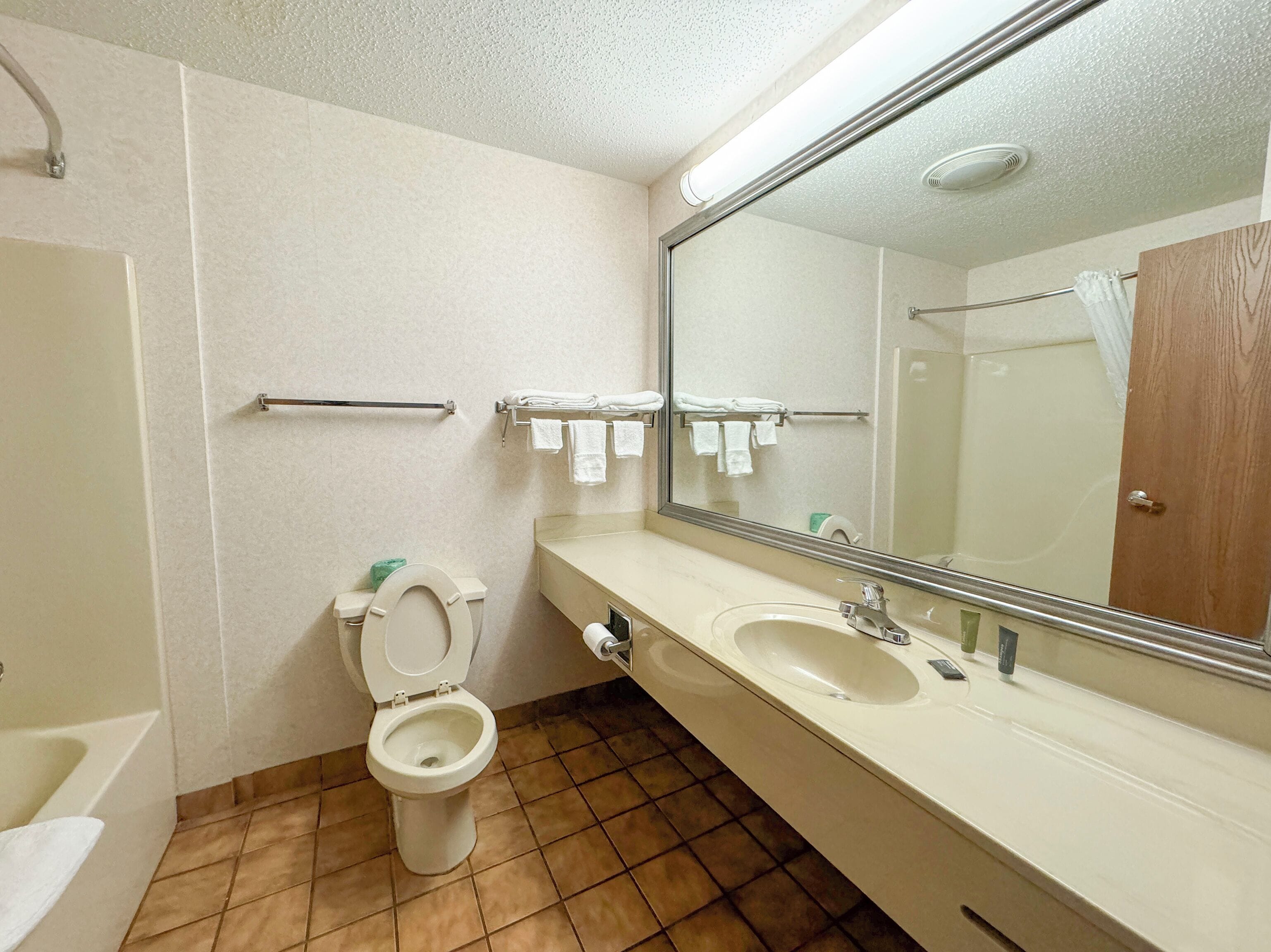 A bathroom with a toilet, sink, and mirror.