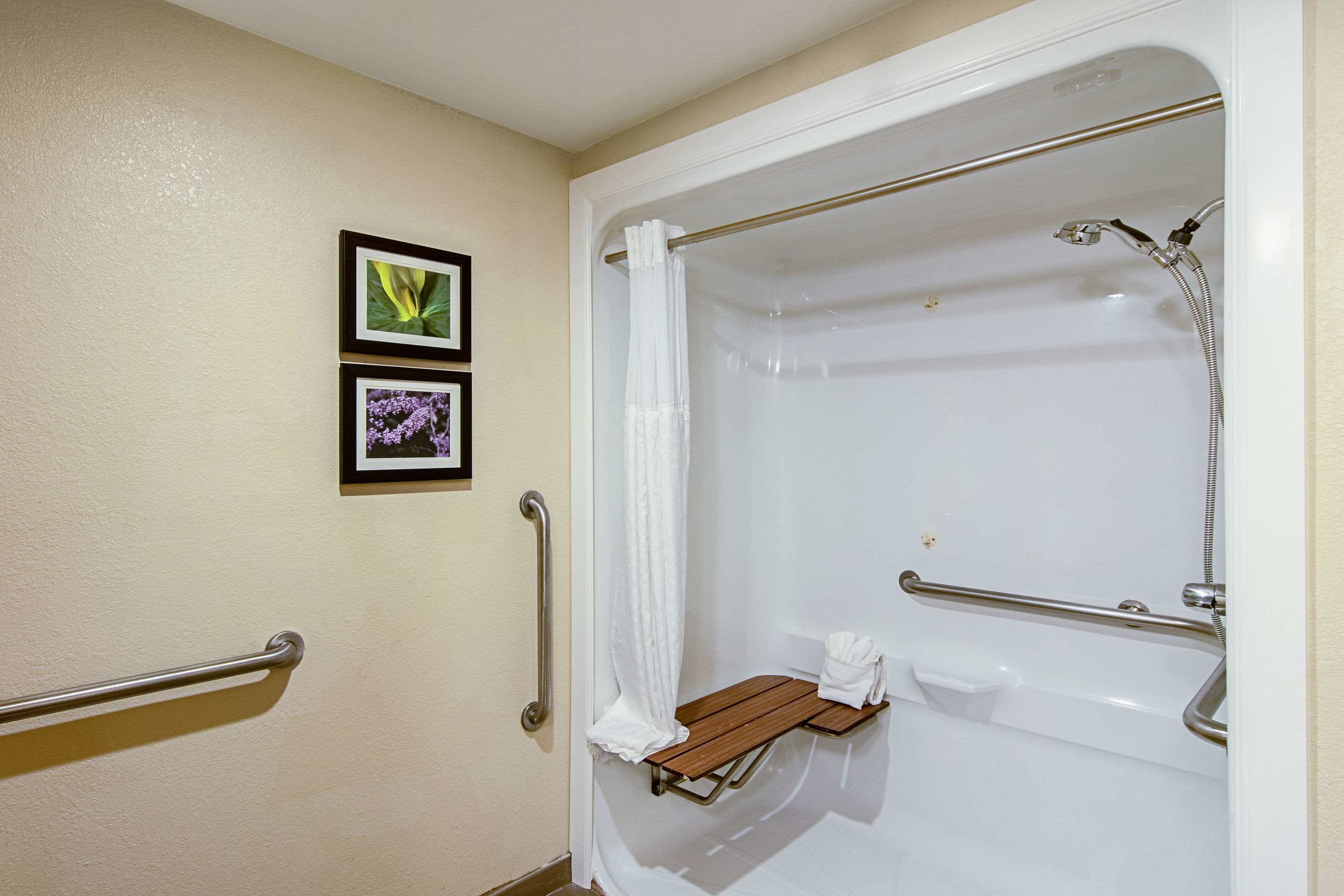 A bathroom with a bathtub, a shower, and a handrail. There are two framed pictures on the wall.