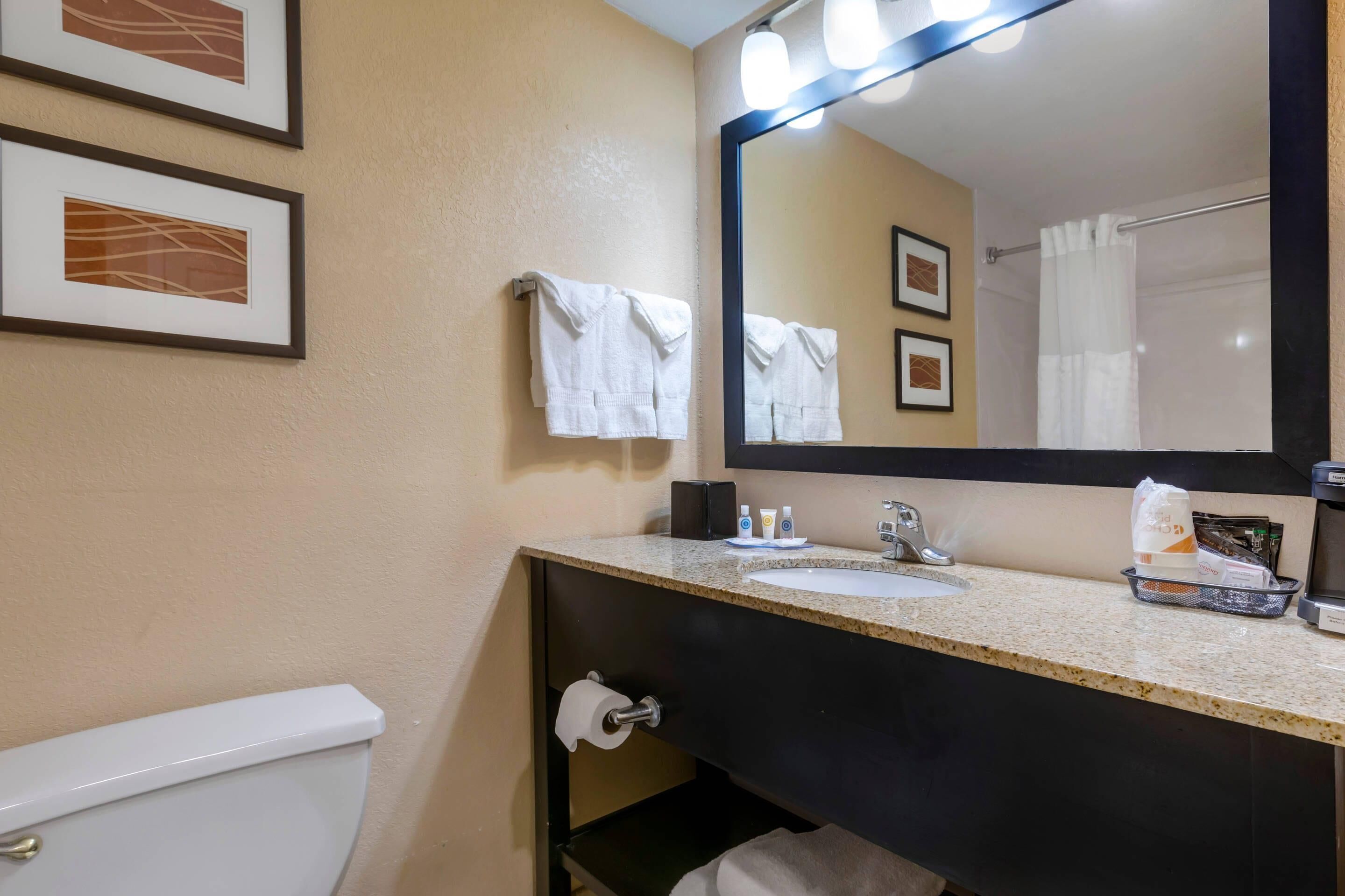 A bathroom with a toilet, sink, mirror, and towel rack.