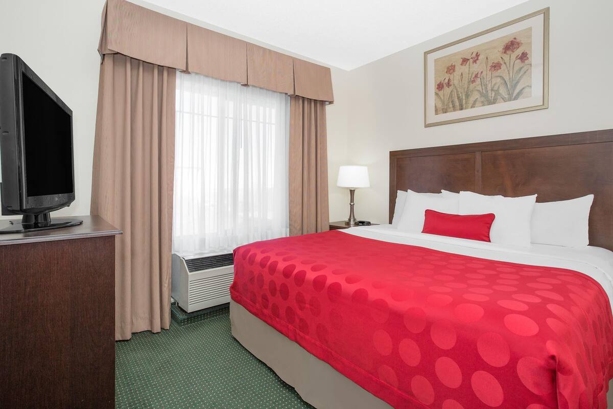 Een hotelkamer met een bed, een televisie, een raam met gordijnen, een schilderij aan de muur en een lamp.