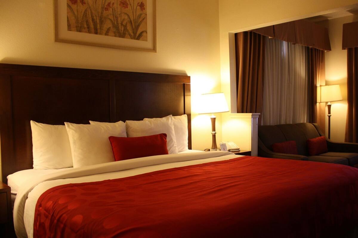 Premium bedding, desk, blackout curtains, iron/ironing board