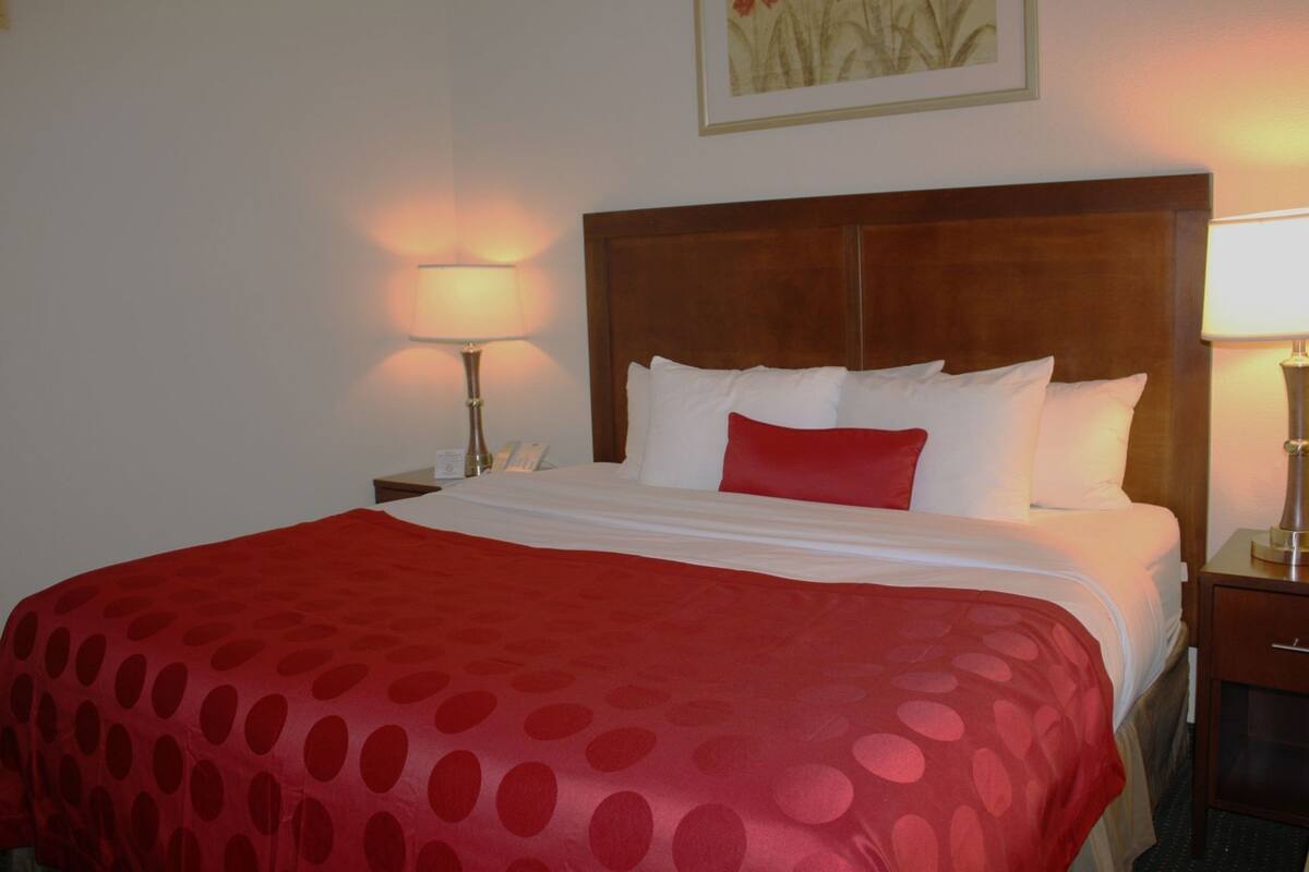 Hotelkamer met een groot bed, een houten hoofdbord, een rood gebonden beddegoed met stippen, een rood kussen, een nachtkastje met een lamp en een lijst met een foto aan de muur.