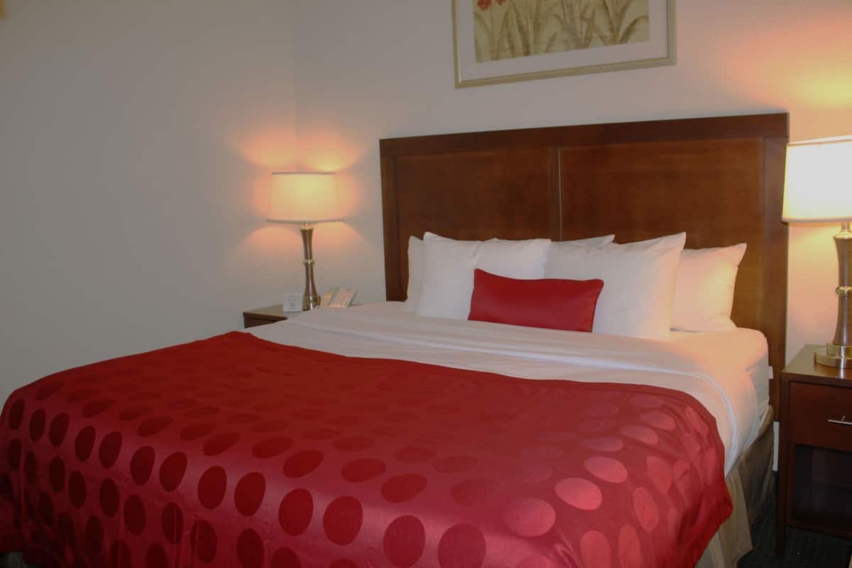 Premium bedding, desk, blackout curtains, iron/ironing board