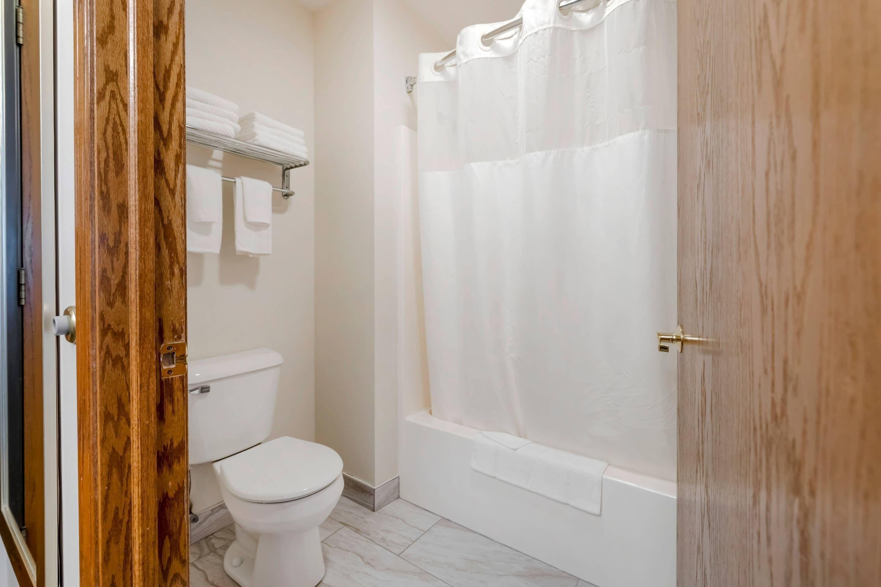 Een badkamer met toilet, bad en douchegordijn.