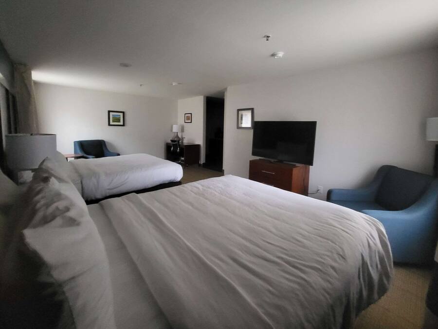 Habitación de hotel con dos camas, televisión, escritorio y una silla.