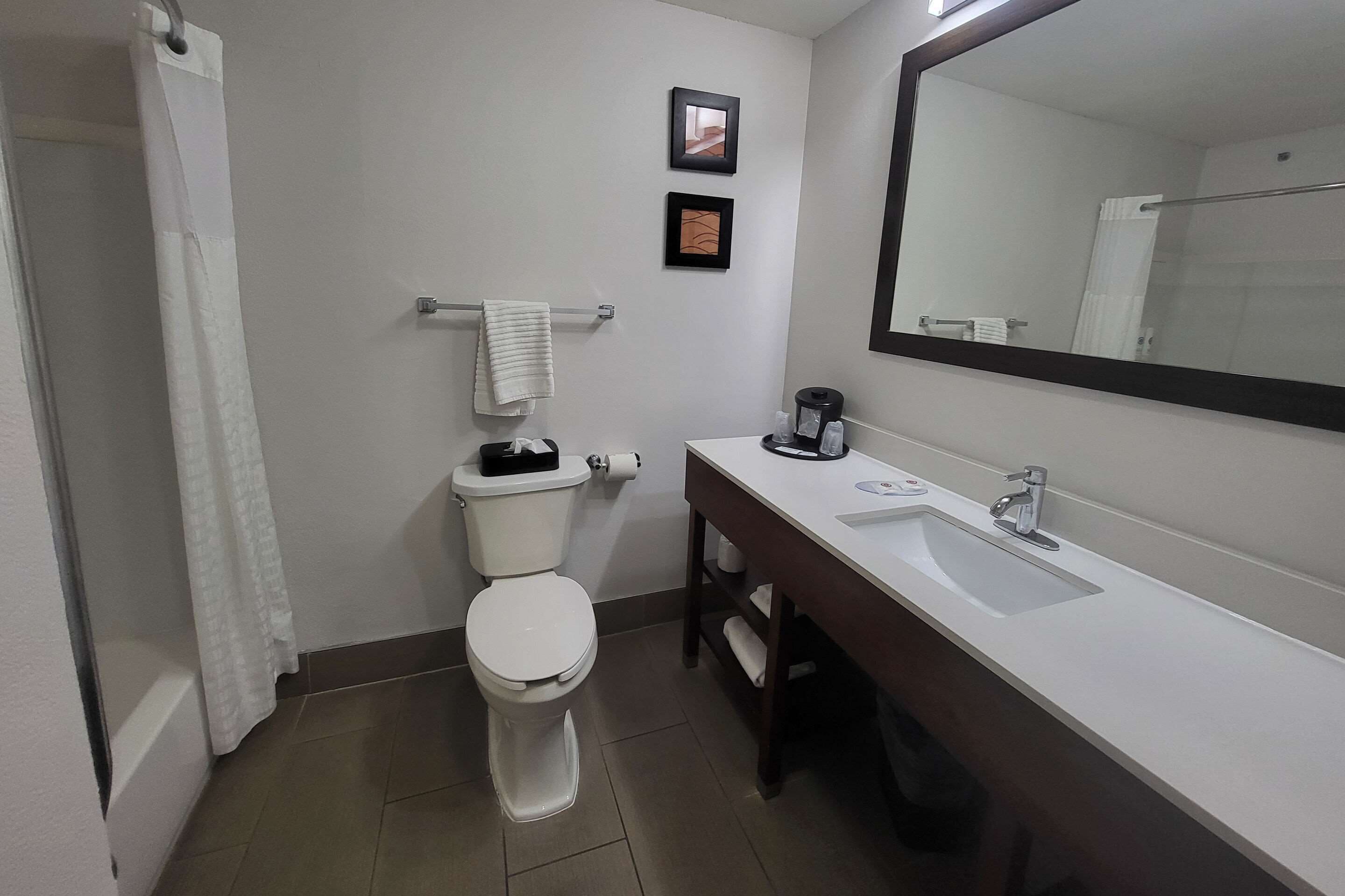 A bathroom with a toilet, sink, and mirror.