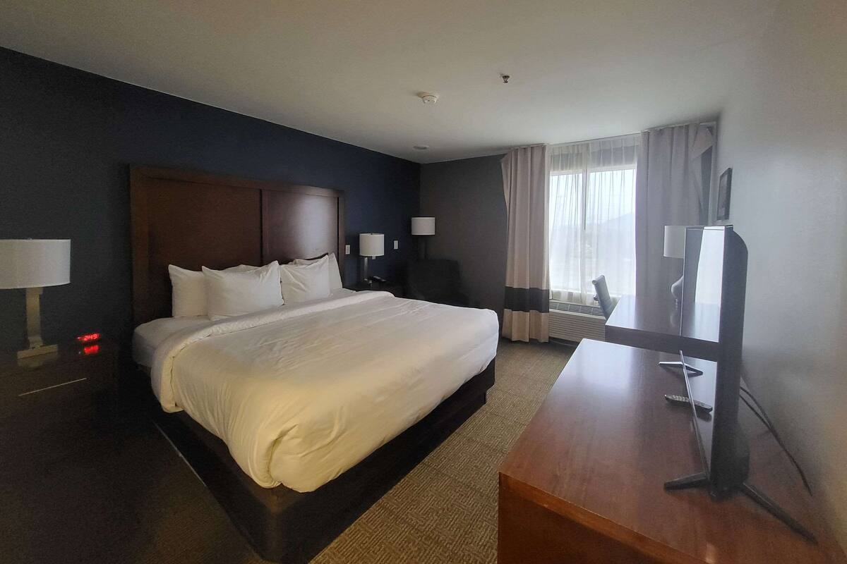 A hotel room with a large bed, a desk, a TV, and a window with curtains.