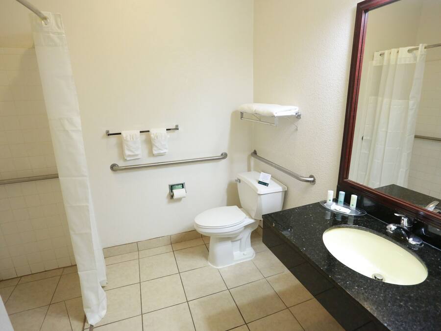 A bathroom with a white toilet, a sink with a mirror, and a shower curtain.