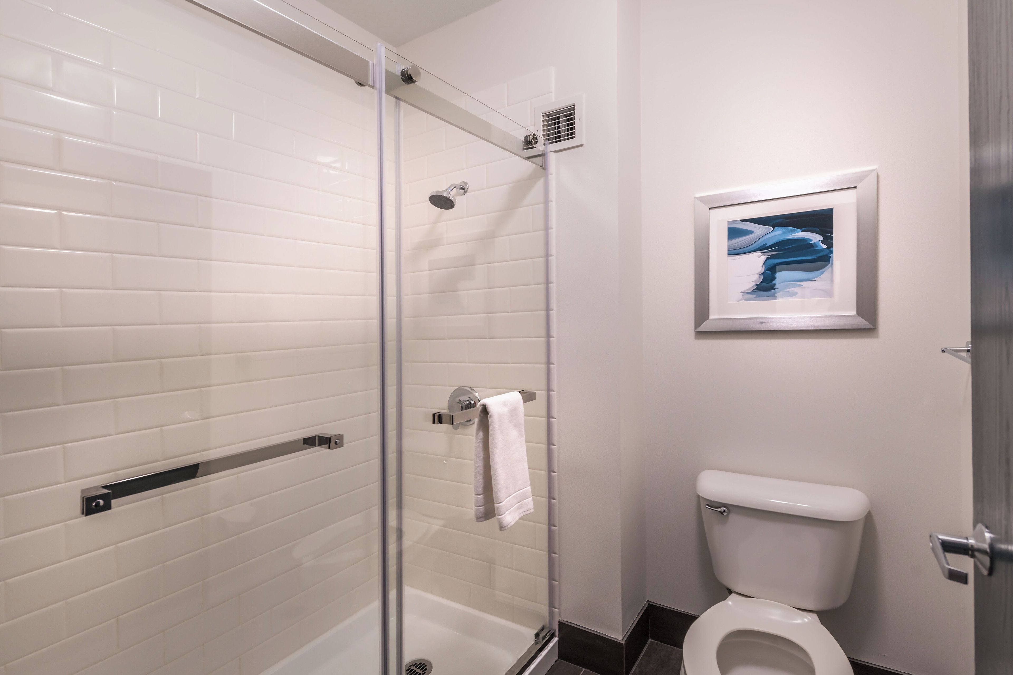 A modern bathroom with a glass-enclosed shower, a white toilet, and a framed artwork on the wall.
