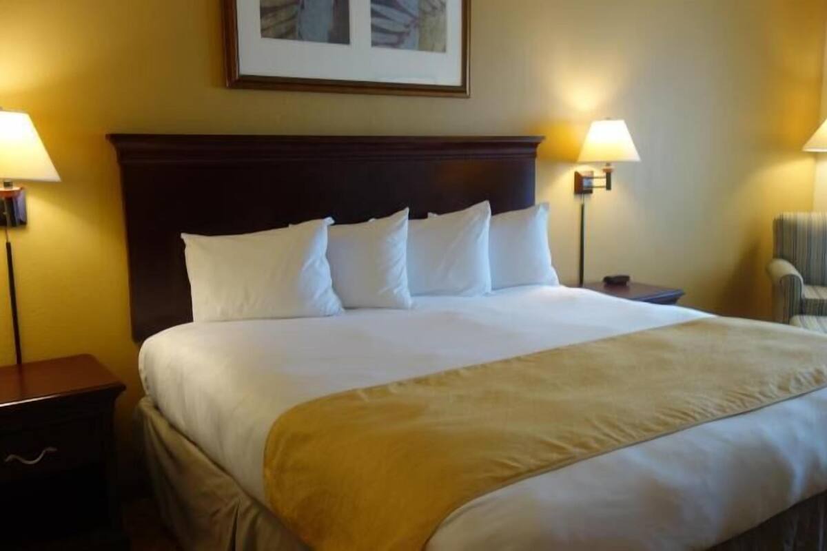 Una habitació d'hotel amb un llit gran, dues taules de nit, dues làmpades de paret, una cadira i un quadre encimbellat a la paret.