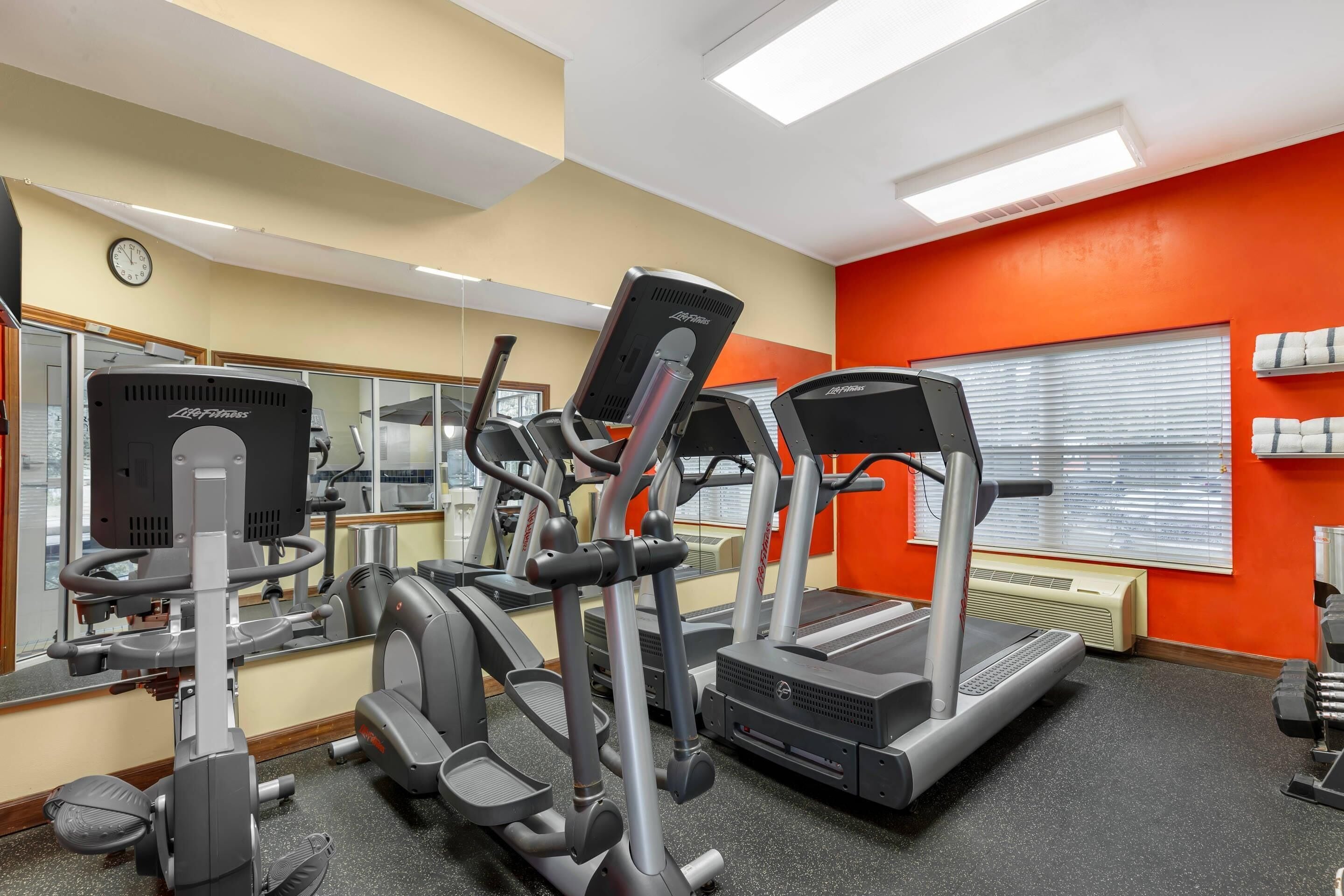 A gym with treadmills, elliptical machines, and weight equipment.