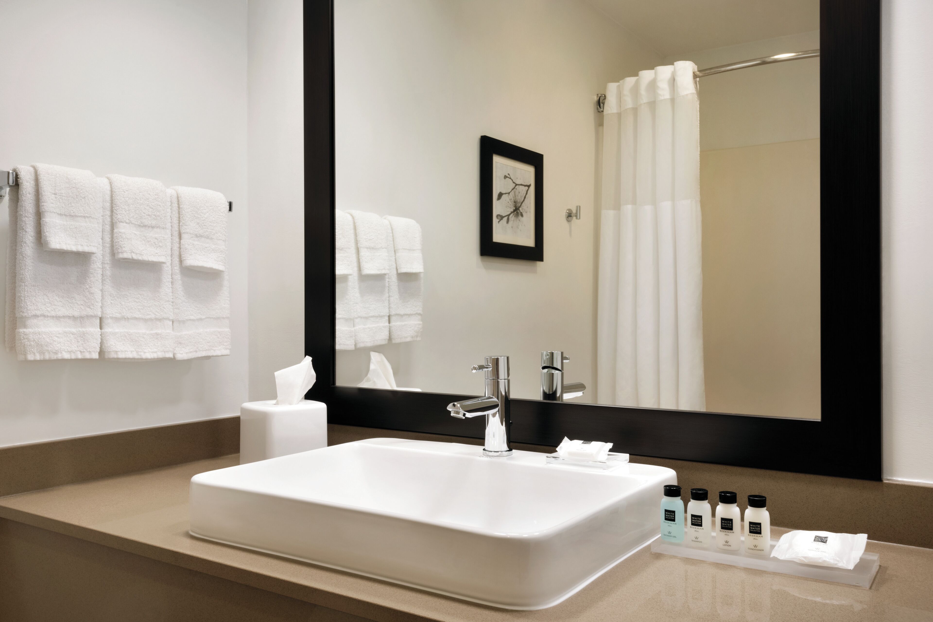 combined shower/bathtub, free toiletries, hair dryer, towels