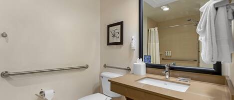 A bathroom with a toilet, sink, and mirror. There is a handrail on the wall and a picture frame on the wall.