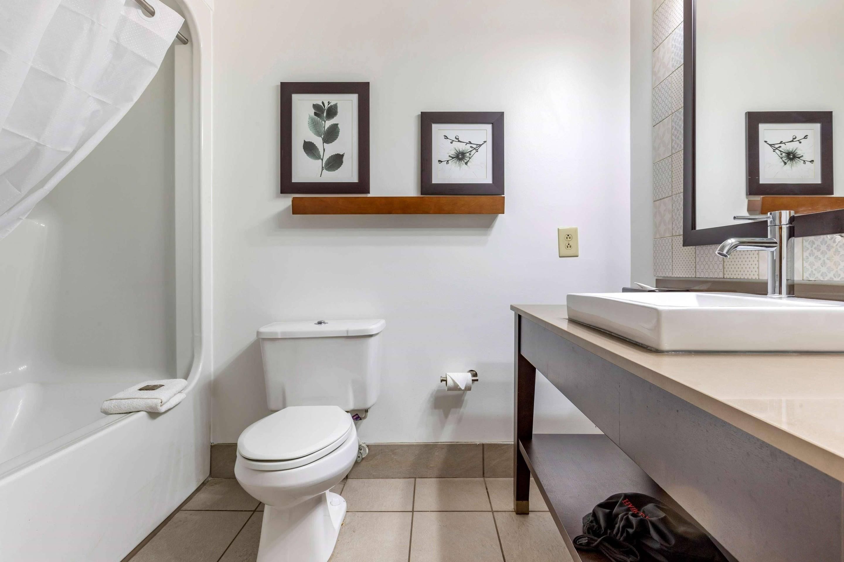 A modern bathroom with a toilet, sink, and shower. There are framed botanical prints on the wall.