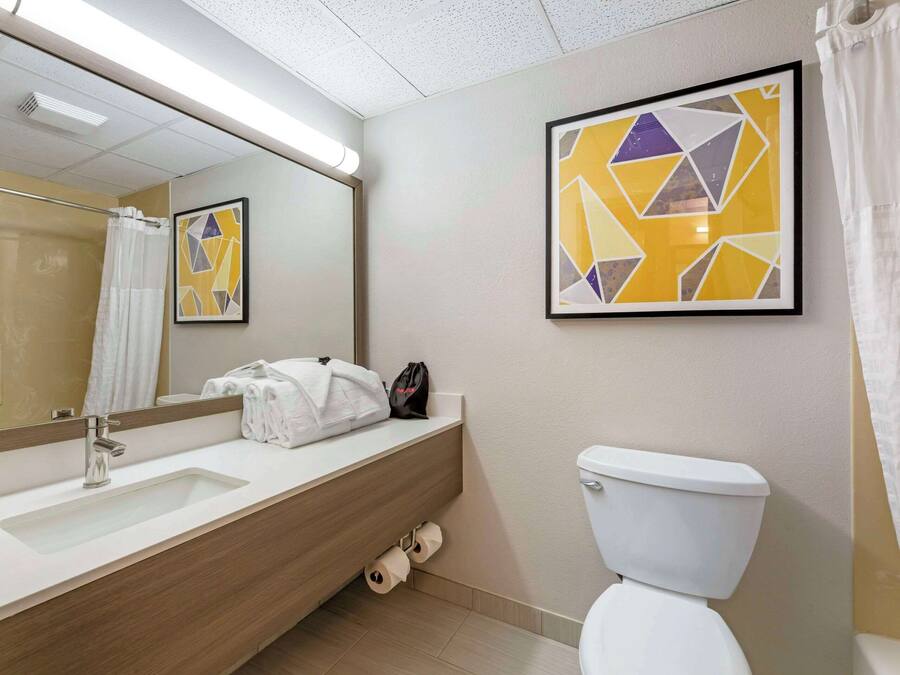 A modern bathroom with a large mirror, a sink, a toilet, and a shower curtain.