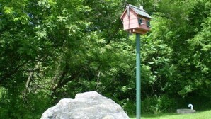 A birdhouse on a pole with a large rock in front. - Ladd Brook Inn (Pownal)
