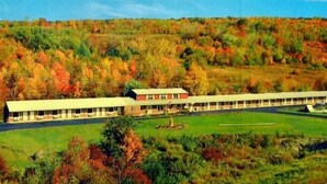 A large building with a long, single-story structure and a flat roof, surrounded by a green field and a forested hillside. - Ladd Brook Inn (Pownal)