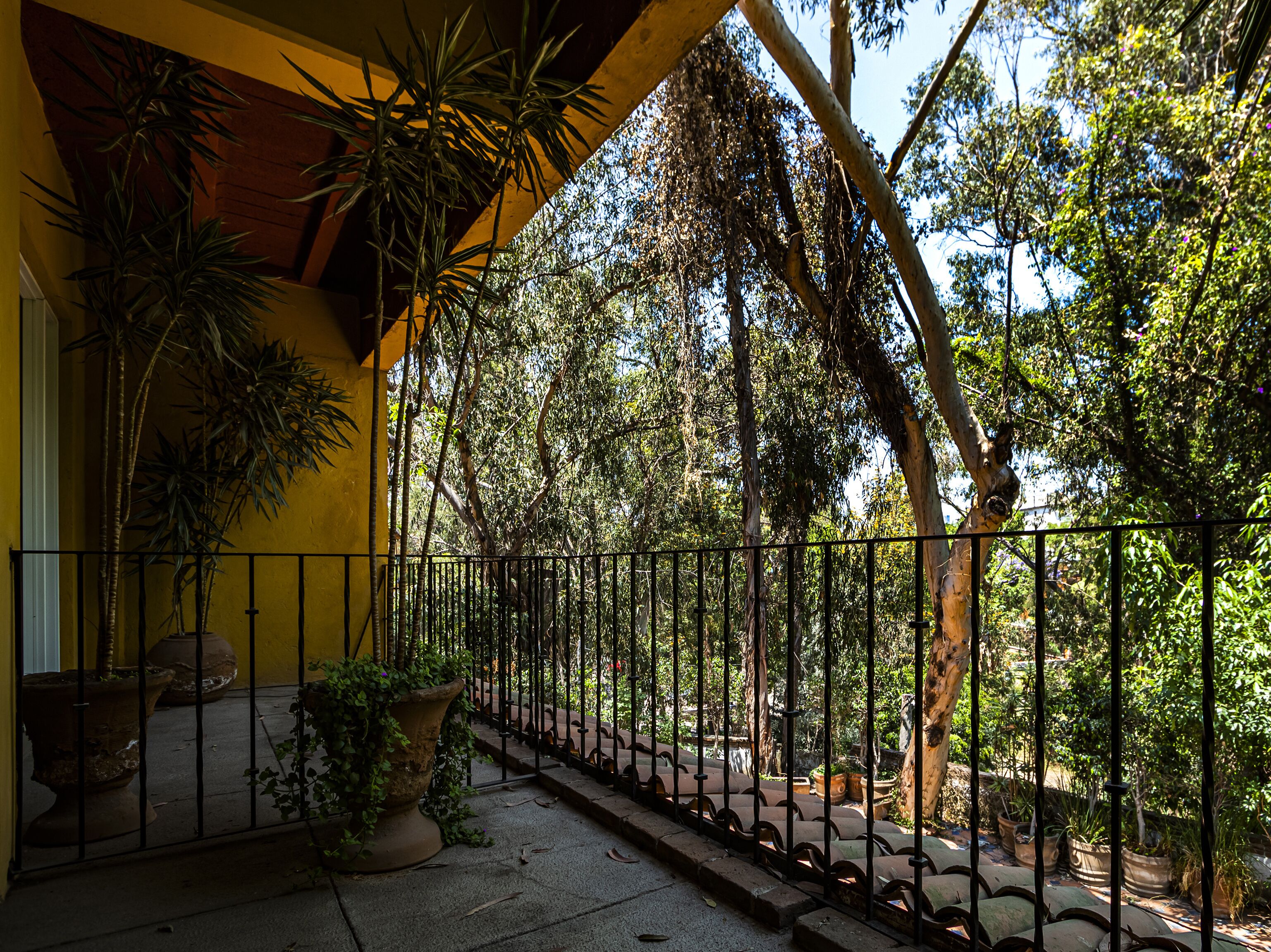 Suite junior, vista a la colina | Vista al jardín