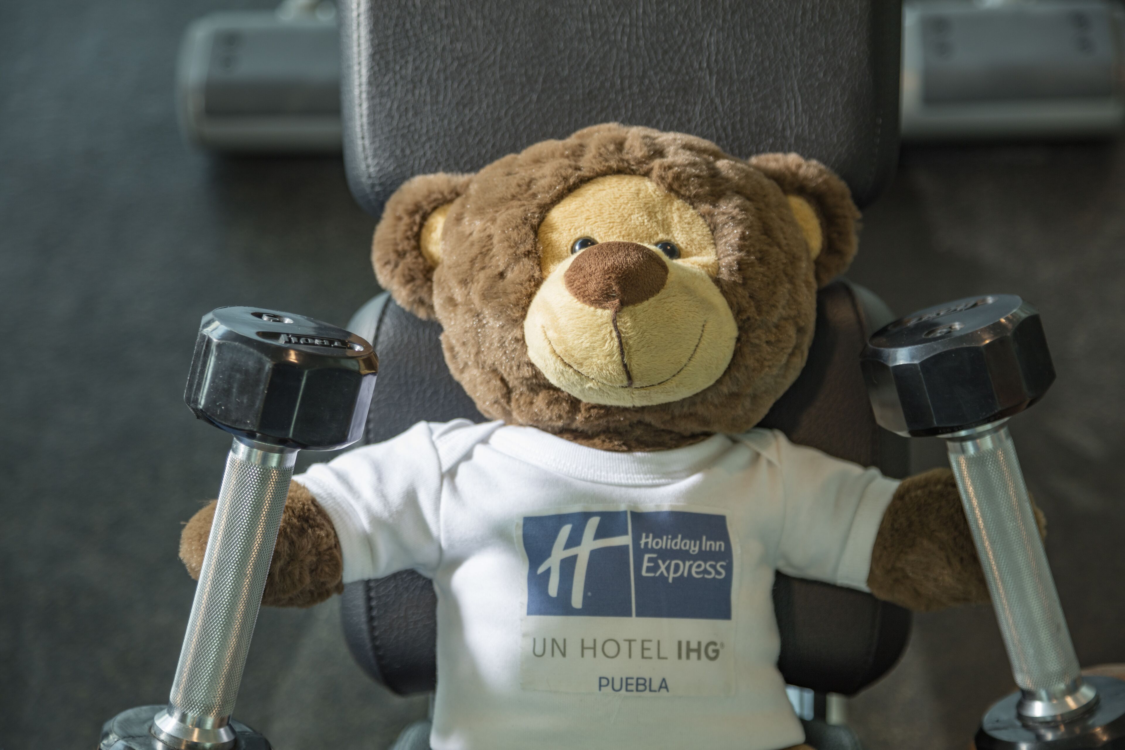 Photo - Holiday Inn Express Puebla by IHG