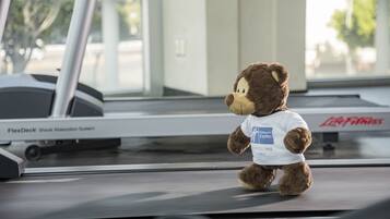 A bear wearing a t-shirt with a logo, placed on a treadmill in a gym.