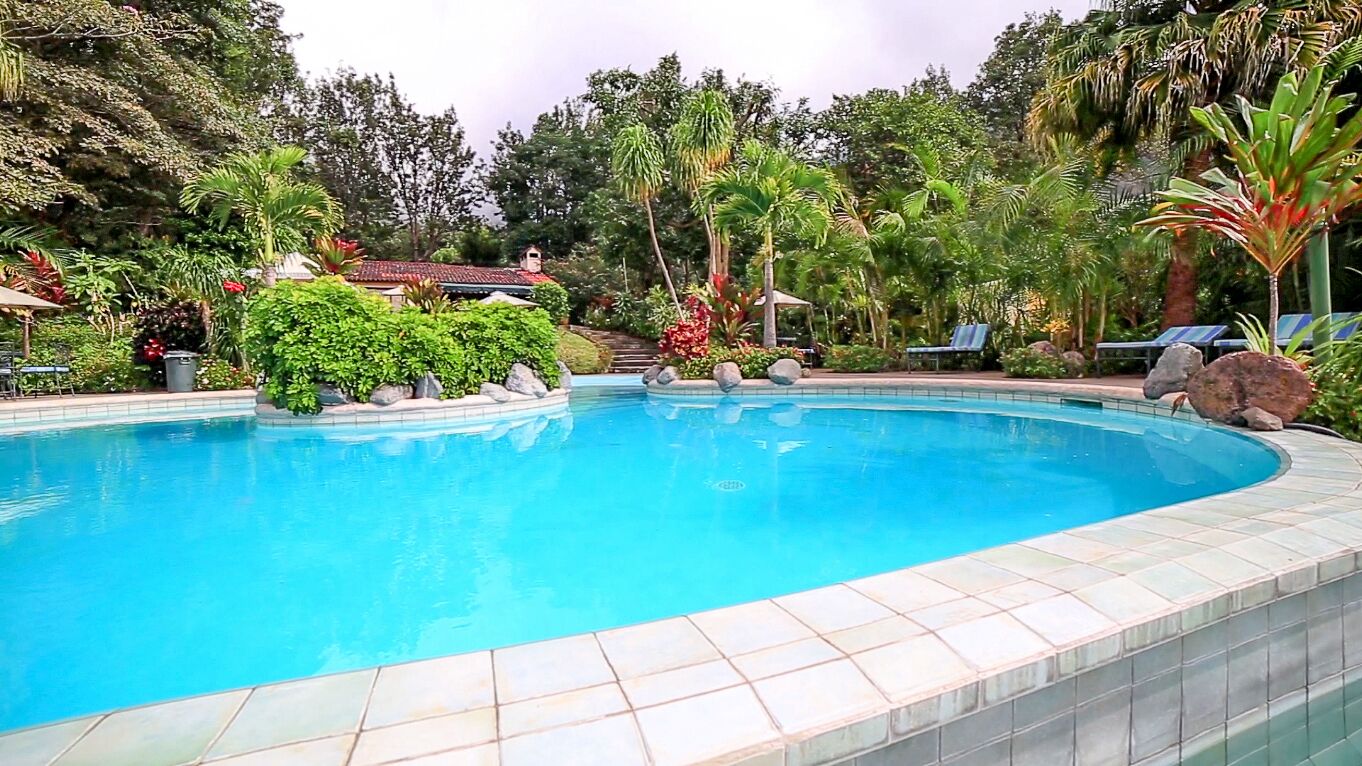 Outdoor pool, open 9:00 AM to 9:00 PM, pool umbrellas, sun loungers