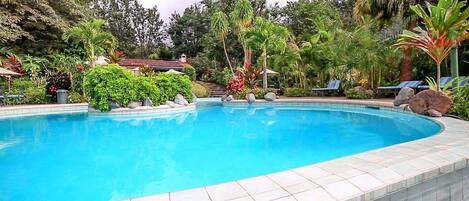 Una piscina al aire libre, sombrillas, sillones reclinables de piscina