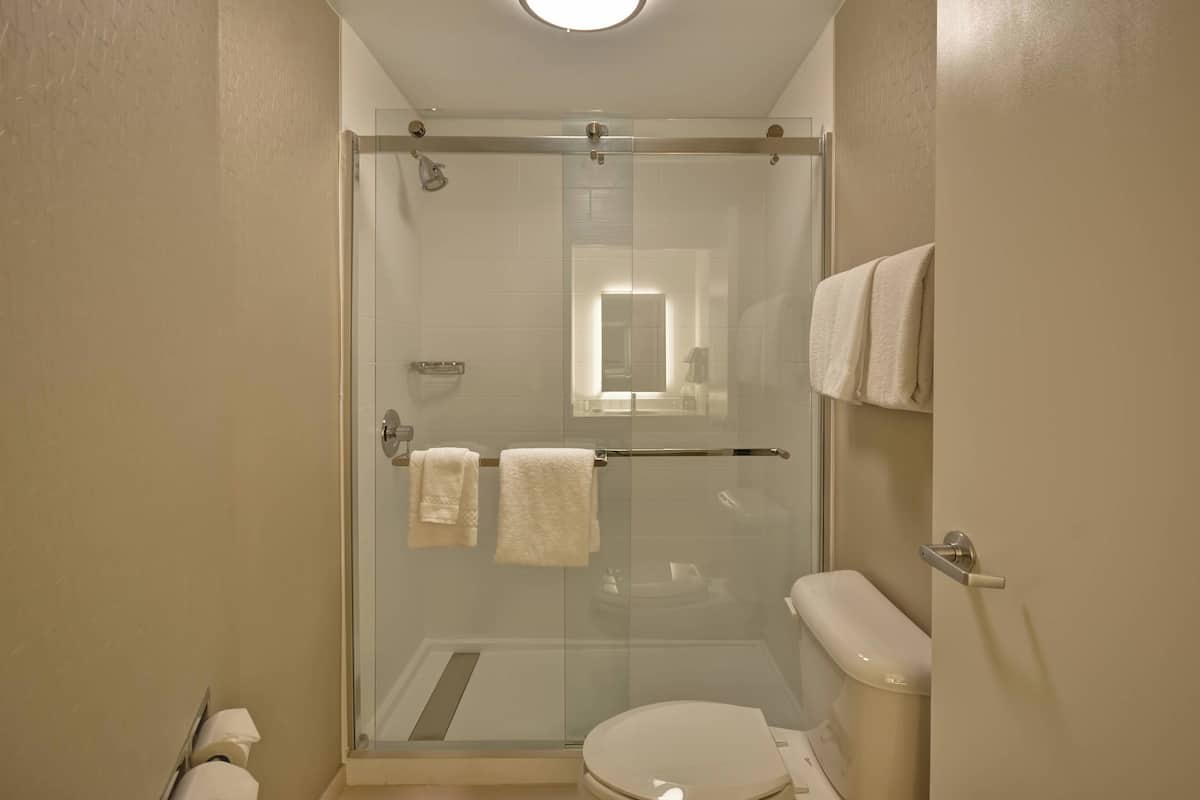 free toiletries, hair dryer, towels