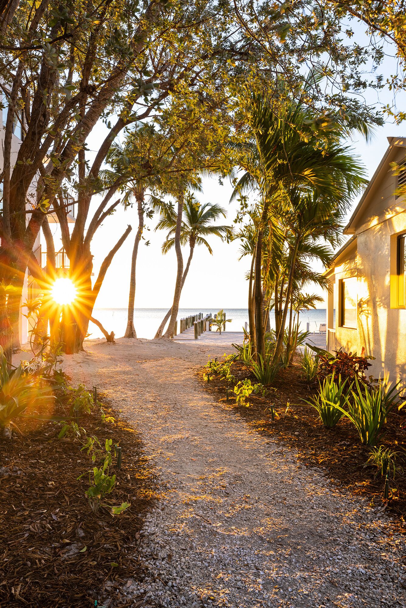 A gravel path leading to a beach with palm trees and a building with a yellow window.