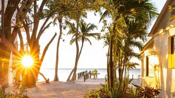 A gravel path leading to a beach with palm trees and a building with a yellow window.