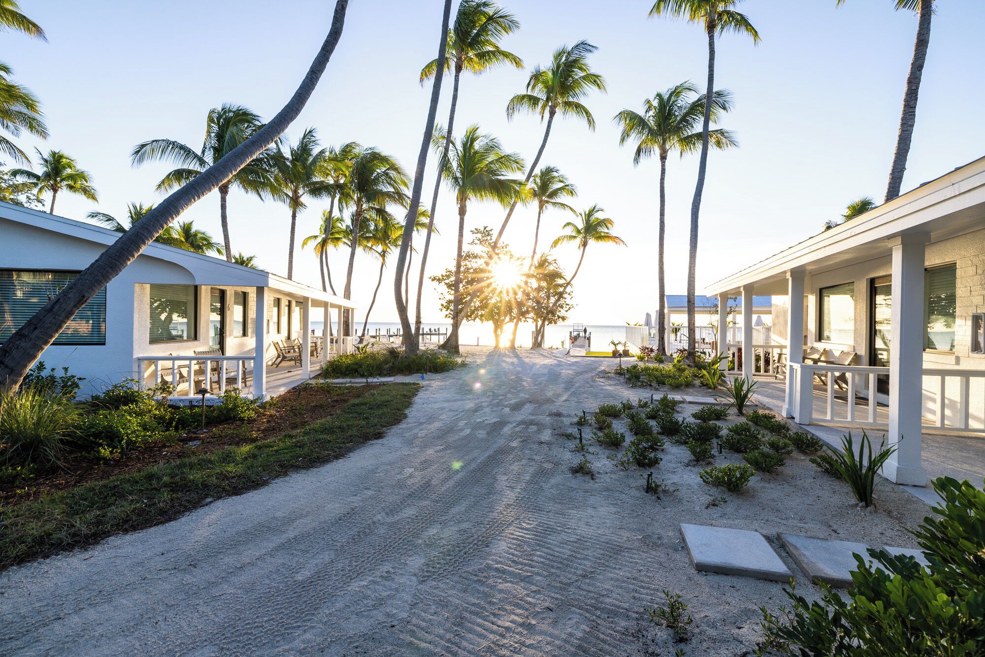 Une propriété située en bord de mer, dotée d’une architecture moderne, d’un chemin pavé et de palmiers.