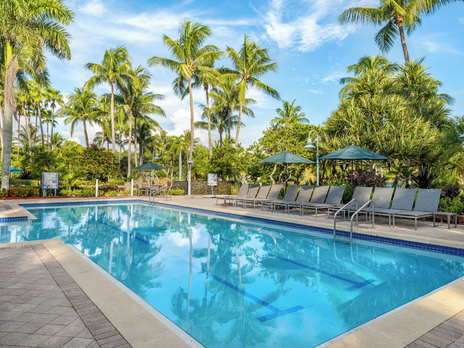 Une piscine entourée de palmiers, avec des chaises longues et des parasols.
