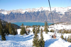 Blick auf die Umgebung