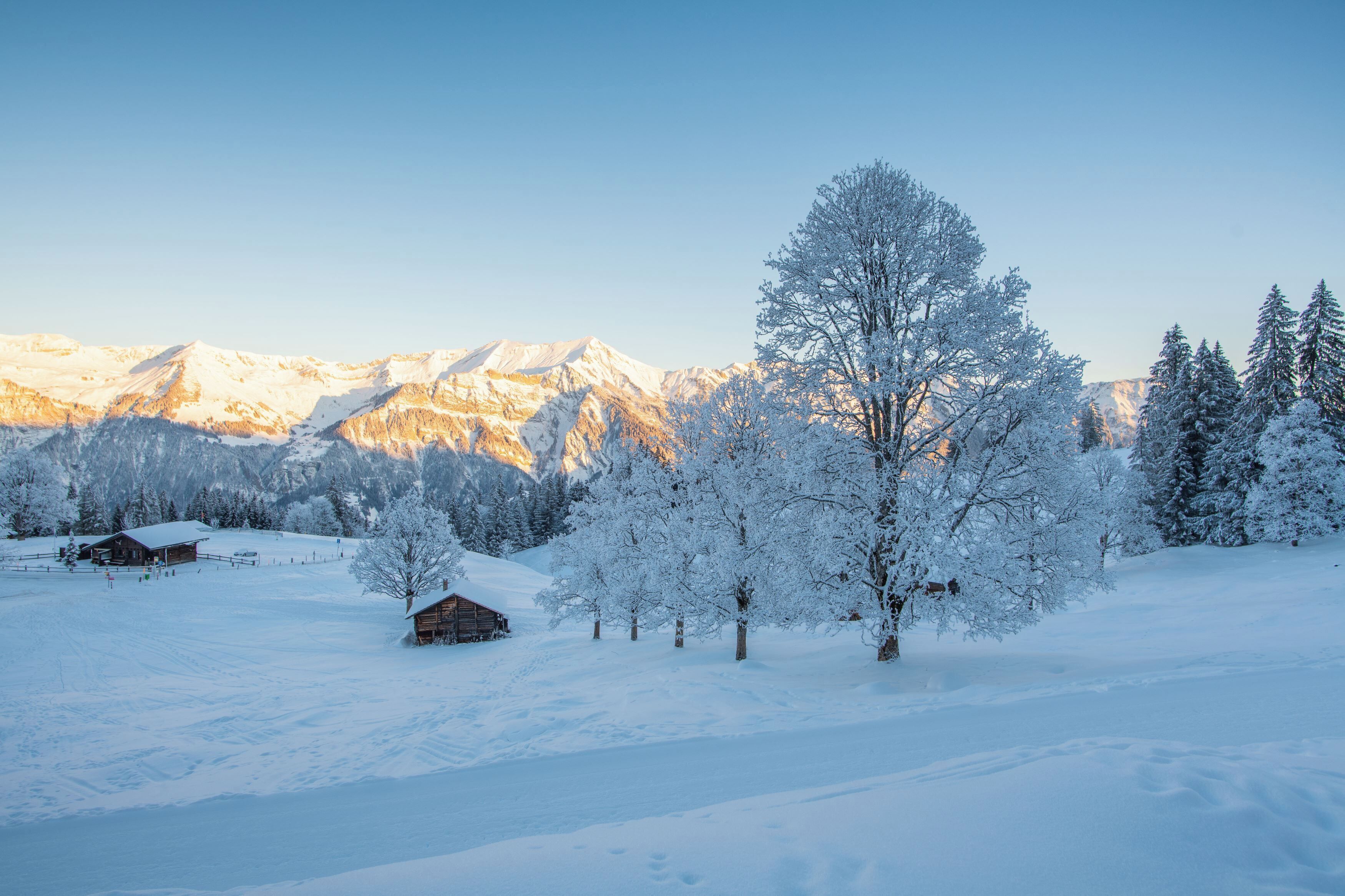 A snow-covered landscape with mountains in the background and a wooden cabin in the foreground.